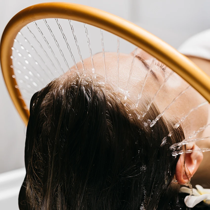 photo_3_2024-12-13_01-29-51